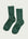 Boreal Green